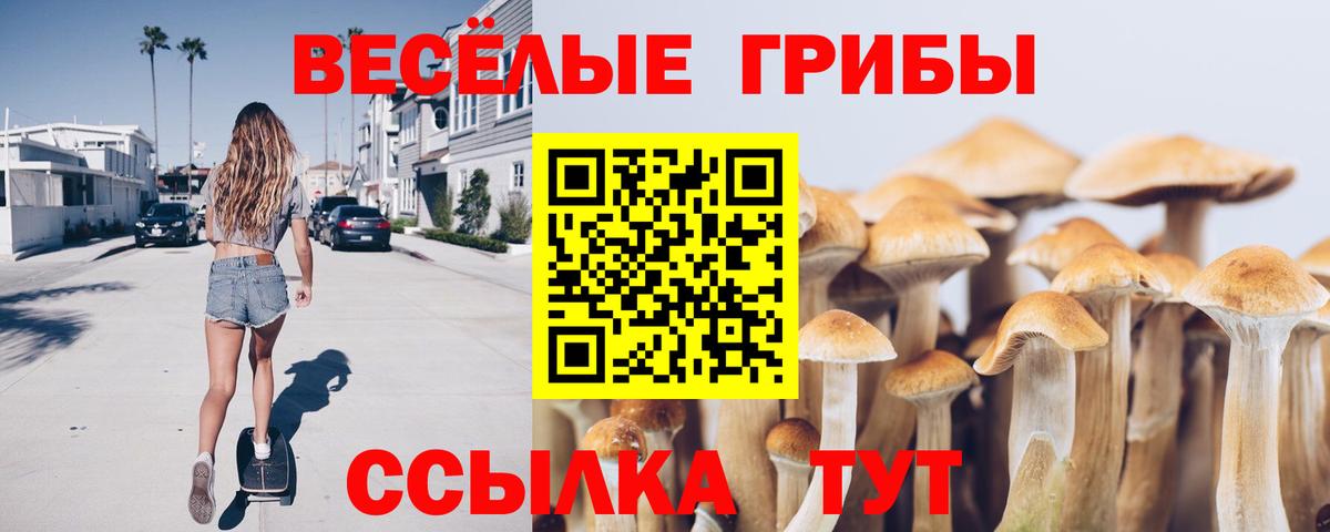 Псилоцибиновые грибы прущие грибы  Вход с VPN  Ейск  Галлюциногенные грибы мицелий 